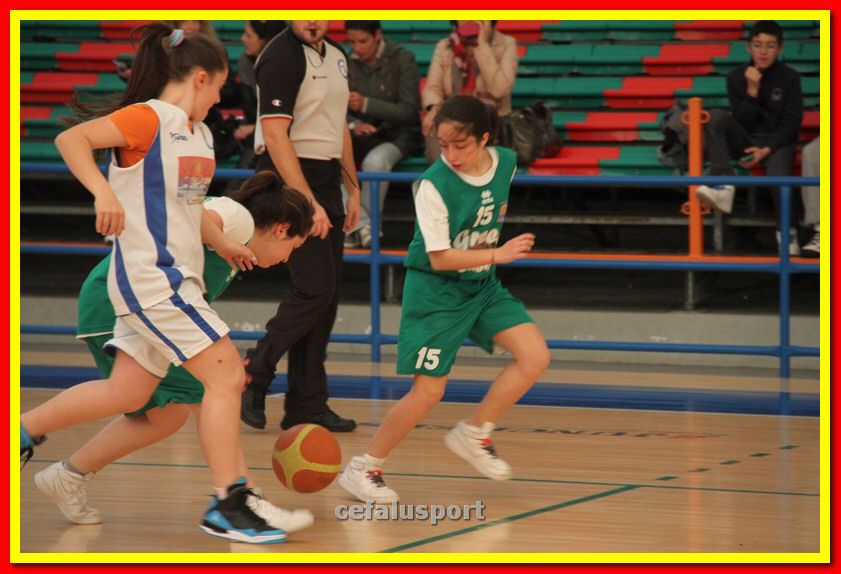 140301 GM_basket 057_tn.jpg